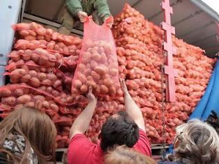 Φωτογραφία για Την Παρασκευή η διάθεση 70 τόνων πατάτας στην Ηγουμενίτσα