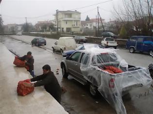 Φωτογραφία για 10 τόνοι πατάτες στους Τρικαλινούς!