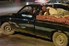 Τα θρυλικά Ντάτσουν…επιστρέφουν μαζί με το «κίνημα της πατάτας»