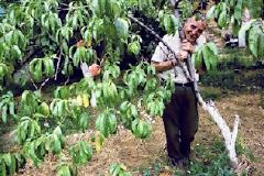 Ντίνος Χριστιανόπουλος: Είμαι ένα ζώο ευτυχισμένο! ...