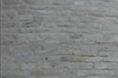 Χοντρό δούλεμα Μουρούτη στον Καμμένο με αφορμή τον Π. Γαλακτόπουλο