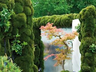 Φωτογραφία για Γιαπωνέζικος κήπος
