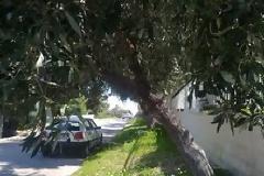 Ο ΚΗΠΟΥΡΟΣ ΤΟΥ ΔΡΑΚΟΥΛΑ ΤΩΝ ΣΕΛΗΝΙΩΝ!!!! ΚΑΜΑΡΩΣΤΕ ΤΟΝ!!!!