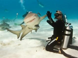 Φωτογραφία για Δύτης κάνει high - five με καρχαρία!