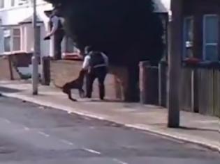 Φωτογραφία για Βίντεο σοκ : Σκύλος επιτίθεται σε 5 αστυνομικούς