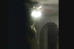 VIDEO: Μια απίστευτη γάτα που θέλει οπωσδήποτε να σβήσει τα φώτα!