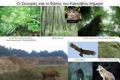 Μεταλλεία Χαλκιδικής, μια πονεμένη ιστορία…