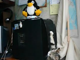 Φωτογραφία για Η γάτα που μισεί τα DVD drives...