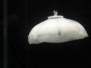 Φωτογραφία για «Ρομποτική μέδουσα» κινείται με υδρογόνο