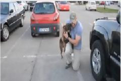 ΣΥΓΚΙΝΗΤΙΚΟ VIDEO: Σκύλος υποδέχεται το αφεντικό του, που είναι στρατιώτης!