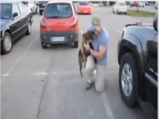 Φωτογραφία για ΣΥΓΚΙΝΗΤΙΚΟ VIDEO: Σκύλος υποδέχεται το αφεντικό του, που είναι στρατιώτης!