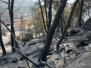 Φωτογραφία για Άρχισε η δίκη για τις καταστροφικές φωτιές στην Ηλεία