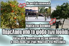 Μάζεψαν τα νεράτζια από τα δέντρα για να μην τους τα πετάξει ο κόσμος στην παρέλαση!!!