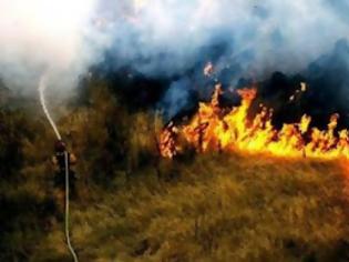Φωτογραφία για Οι 5 οικολογικές πληγές που άφησαν πίσω τους οι πυρκαγιές