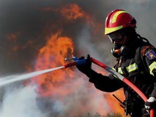 Φωτογραφία για ΣΕ ΕΞΕΛΙΞΗ ΤΡΕΙΣ ΠΥΡΚΑΓΙΕΣ ΣΤΗΝ ΕΥΒΟΙΑ