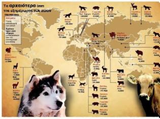 Φωτογραφία για Πώς ο σκύλος έγινε πιστός φίλος πριν από 30.000 χρόνια  Δείτε Περισσότερα: http://www.otherside.gr/2012/09/pws-skylos-egine-pistos-filos/#ixzz25UdlE8L4