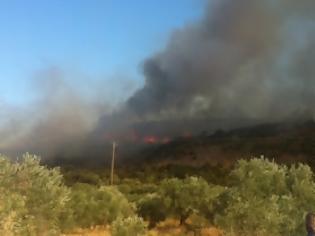 Φωτογραφία για Φθιώτιδα: Πυρκαγιά στο Αχλάδι κοντά στο σκουπιδότοπο...