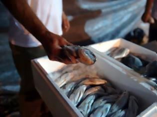 Φωτογραφία για Κατασχέθηκαν 4 τόνοι ψαριών που θα έστελναν σε ιδρύματα