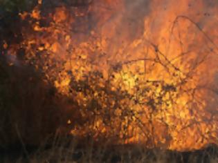 Φωτογραφία για Εκρήξεις από φωτιά σε ναρκοπέδιο στον Τσαμαντά Φιλιατών