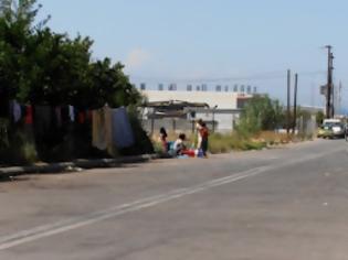 Φωτογραφία για Πάτρα: «Μας έχουν ρημάξει τις επιχειρήσεις οι Ρομά»