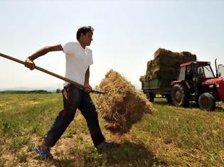 Φωτογραφία για Επιστροφή ειδικού φόρου κατανάλωσης καυσίμων σε αγρότες