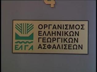 Φωτογραφία για ΕΛΓΑ: Την Τρίτη οι αποζημιώσεις σε 5.247 παραγωγούς