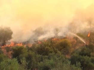 Φωτογραφία για Πυρκαγιά στην Εύβοια