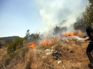 Φωτογραφία για Σε εξέλιξη φωτιά στη Μάνη