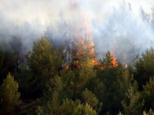 Φωτογραφία για Μεσσηνία: 32χρονος ομολόγησε ότι έχει βάλει 22 φωτιές