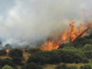 Φωτογραφία για Υπό έλεγχο η πυρκαγιά στις Θέρμες Ξάνθης – αποχώρησαν τα εναέρια μέσα