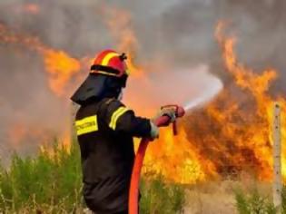Φωτογραφία για Σε εξέλιξη πυρκαγιές σε Εύβοια και Λακωνία