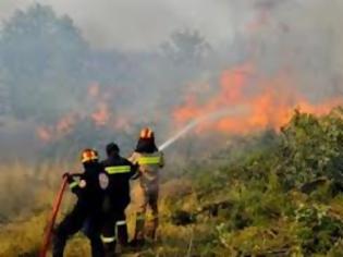 Φωτογραφία για Σε εξέλιξη πυρκαγιά στη Ρόδο