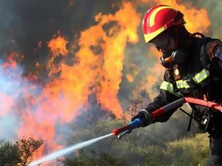 Φωτογραφία για Οι φλόγες άγγιξαν τα σπίτια, στάχτη το δάσος στο Καστρί