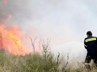 Φωτογραφία για ΠΥΡΚΑΓΙΑ ΣΤΗ ΘΕΣΣΑΛΟΝΙΚΗ