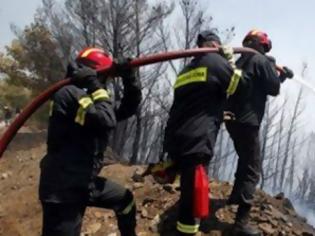 Φωτογραφία για Οι νομοί που έχουν πληγεί περισσότερο από τις πυρκαγιές