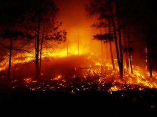 Φωτογραφία για Μαίνεται η πυρκαγιά στον Λαγκαδά