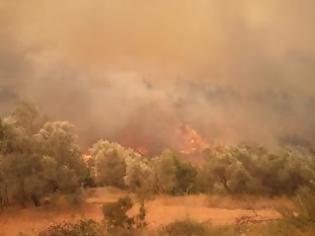 Φωτογραφία για Συνεχίζεται η πυρκαγιά στην Άνδρο