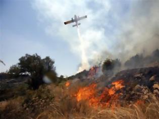 Φωτογραφία για ΤΩΡΑ: Σε δύο μέτωπα η μάχη με τις φλόγες στη Φθιώτιδα