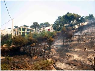 Φωτογραφία για Εισαγγελική εντολή για άμεση κατεδάφιση αυθαιρέτων σε καμένες εκτάσεις