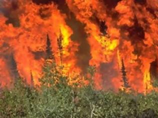 Φωτογραφία για Σε εξέλιξη βρίσκεται η φωτιά σε δασική έκταση στις Φιλιάτες Θεσπρωτίας