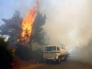 Φωτογραφία για Πυρκαγιά στα Φάρσαλα