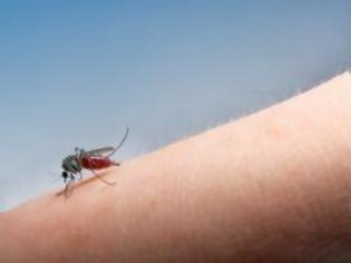 Φωτογραφία για Νέο κρούσμα ελονοσίας στα Τρίκαλα και άφιξη του ΚΕΕΛΠΝΟ