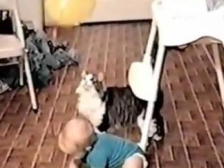 Φωτογραφία για VIDEO: Γάτα προσπαθεί να πάρει το μπαλόνι του μωρού