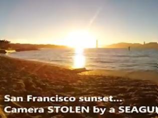 Φωτογραφία για Γλάρος κλέβει βιντεοκάμερα και κινηματογραφεί ηλιοβασίλεμα! [video]