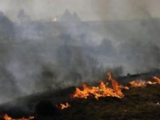 Φωτογραφία για Υπό έλεγχο η φωτιά στην Κέρκυρα