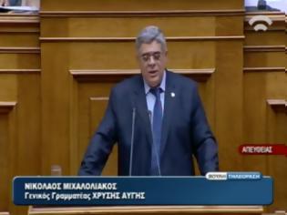 Φωτογραφία για Προσβλητικό παραλήρημα Μιχαλολιάκου για τις Ένοπλες Δυνάμεις! (video)