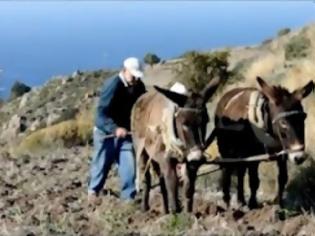 Φωτογραφία για Σε πια περιοχή της Ελλάδας οργώνουν ακόμη με γαϊδούρια; [video]