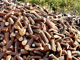 Φωτογραφία για Θράκη: Στο κόκκινο η ζήτηση για ξυλεία από τα Δασαρχεία!