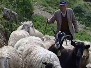 Φωτογραφία για Επίθεση σε 68χρονο κτηνοτρόφο από ομάδα ρομά στη Ξάνθη