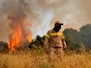 Φωτογραφία για Υπό έλεγχο η φωτιά στην παραλίμνια περιοχή της Βιστωνίδας